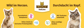 Wildcat