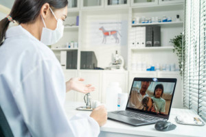 Vorabklärung mit Tiermedizinischer Praxisasistentin (TPA)