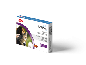 Antinol Cat Kapseln