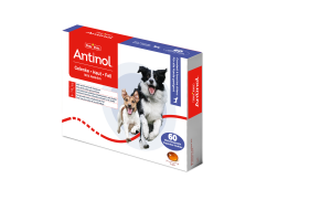 Antinol Dog G&eacute;lules