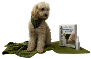 Pet Remedy Bandana Grösse S