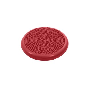  Physio Tactile Balance Disc