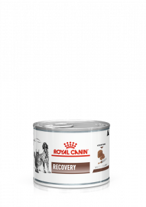 Gastrointestinal Tract - Recovery Cats/Dogs Dose (Ultras soft Mousse)