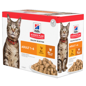 Science Plan - Feline Adult Multipack (6x Huhn & 6x Truthahn) Beutel