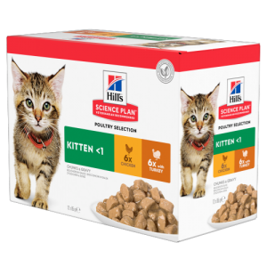 Science Plan - Kitten Multipack (Huhn &Truthahn) Beutel